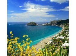 Italien Insel Ischia Ferienapartment - Italien - Bild 1