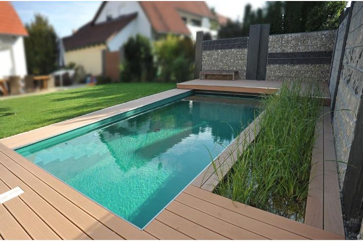 Schwimmteich Gartengestaltung - Pools - Bild 1