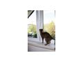 Kippfensterschutz Katzen austmetall - Kratzbume & Katzenmbel - Bild 2