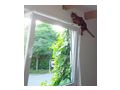 Kippfensterschutz Katzen austmetall - Kratzbume & Katzenmbel - Bild 5