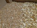Dinkelschlmaschine - Gewerbebedarf - Bild 3