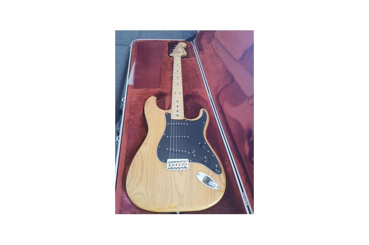 Fender Stratocaster USA 1981 E Gitarre - E-Gitarren & Bsse - Bild 1