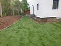 Roll Rasen Verlegen SECHELI - Gartendekoraktion - Bild 1