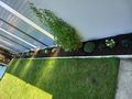 Roll Rasen Verlegen SECHELI - Gartendekoraktion - Bild 3