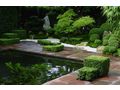 Moderner japanischer Garten Wien - Kleingrten - Bild 2