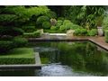 Moderner japanischer Garten Wien - Kleingrten - Bild 4