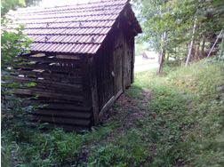 Wald verkaufen - Grundstck kaufen - Bild 1