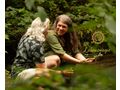 Dein persnliches Seelenbild - Bilder & Kunstwerke - Bild 2