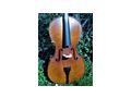 schnes 4 4 Cello - Streichinstrumente - Bild 1