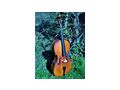 schnes 4 4 Cello - Streichinstrumente - Bild 3
