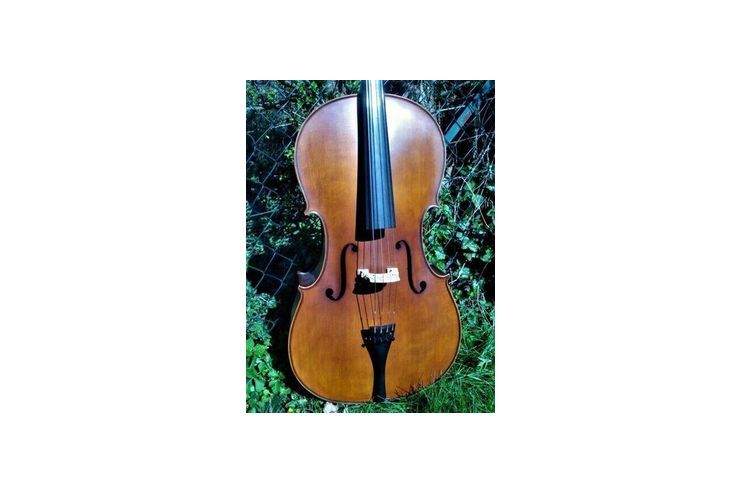 schnes 4 4 Cello - Streichinstrumente - Bild 1