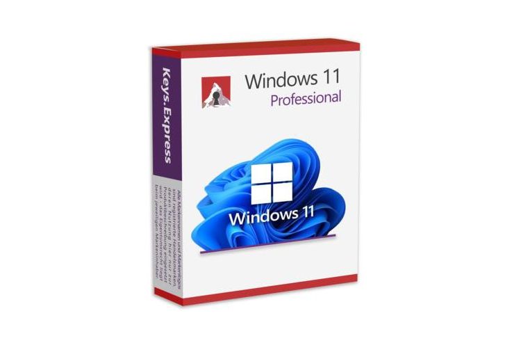 Microsoft Windows 11 Professional - Betriebssysteme - Bild 1