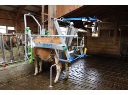 Ecolift Klauenpflegestand - Rinder - Bild 1