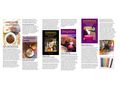 Tasseographie Lesen Kaffeesatz Teeblttern - Religion & Lebenshilfe - Bild 5