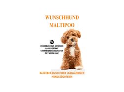 Der Maltipoo Ratgeber Buch Maltipoo s - Mischlingshunde - Bild 1