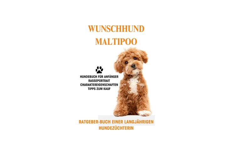 Buch Wunschhund Maltipoo Welpe kaufen Ratgeber - Tiere - Bild 1