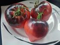 Samen violette Tomaten Sorten Topoptik - Pflanzen - Bild 12