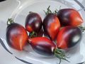 Samen violette Tomaten Sorten Topoptik - Pflanzen - Bild 15