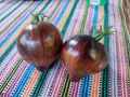 Samen violette Tomaten Sorten Topoptik - Pflanzen - Bild 16