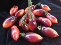 Samen violette Tomaten Sorten Topoptik - Pflanzen - Bild 8