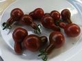 Rispen Tomaten ausgefallene Raritten - Pflanzen - Bild 5