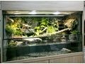 Aqua Terrarium Paludarium - Terrarien & Becken - Bild 1