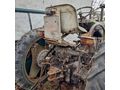 Steyr Traktor Type 80a - Traktoren & Schlepper - Bild 7