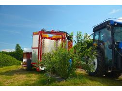 Erntemaschine Heidelbeeren Himbeeren - Mhdrescher & Erntefahrzeuge - Bild 1