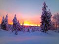 Ferienparadies Finnland - Haus kaufen - Bild 10