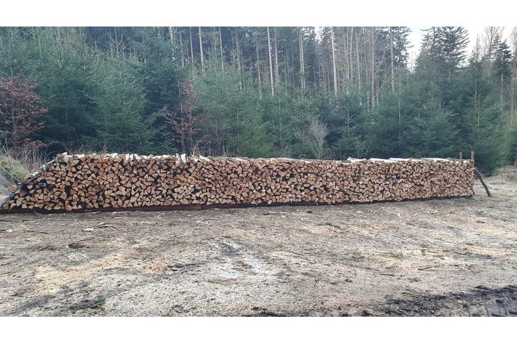 Brennholz Buche Ahorn - Holz- & Pelletheizung - Bild 1