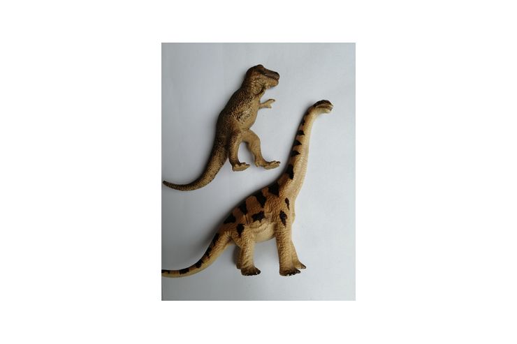 Schleich Tiere - Tiere & Dinosaurier - Bild 1