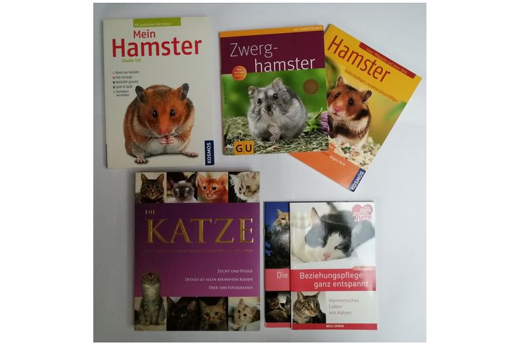 Tierratgeber Katzen Hamster - Tiere - Bild 1