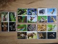Sticker Karten Rewe Panini - Aufkleber, Schilder & Sammelbilder - Bild 3