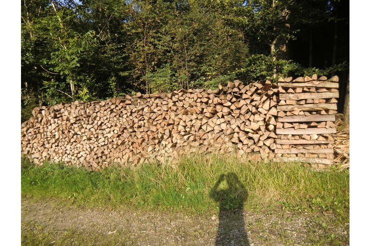 Brennholz nhe Vcklabruck - Brennholz & Pellets - Bild 1