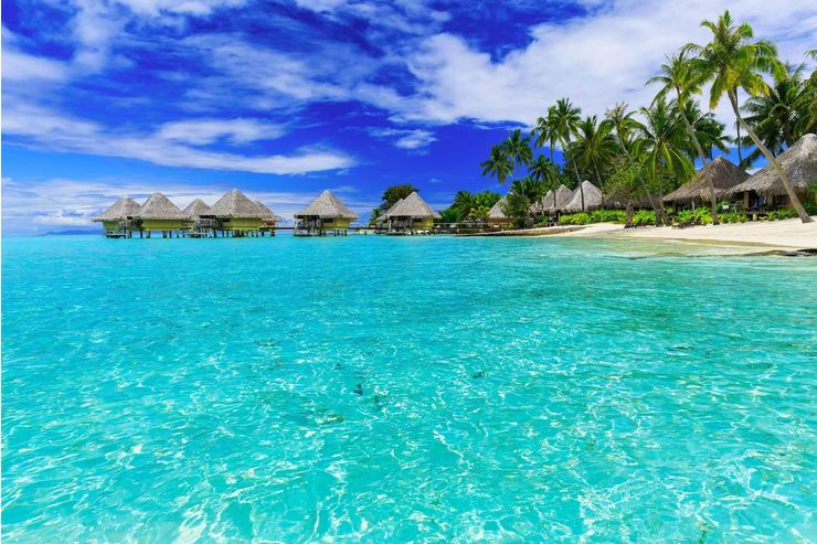 Urlaub Bora Bora - Er sucht Sie - Bild 1
