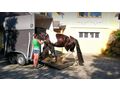 Verladetraining Pferde Hngertraining - Sport - Bild 11