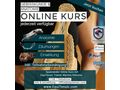 Pferdewissen Online Kurse ums Pferd - Sport - Bild 9