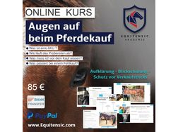 Augen Pferdekauf ONLINE KURS - Pferde (Gropferde) - Bild 1