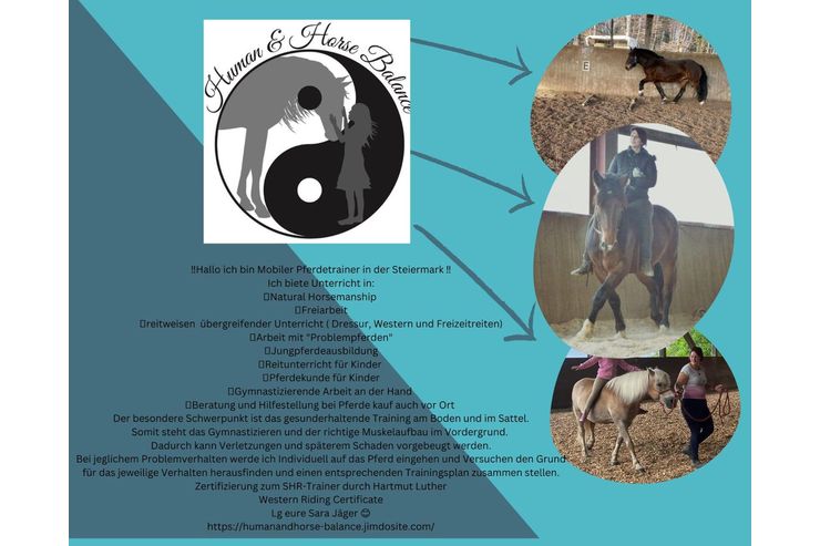 Mobiler Pferdetrainer - Pflege & Gesundheit - Bild 1