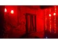 Almbar Nachtclub Wien - Erotik - Bild 7