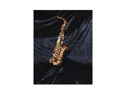 Verkaufe Altsaxophon - Blasinstrumente - Bild 1