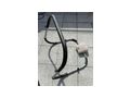 Crane Sports Bauchmuskeltrainer - Bauch- & Rckentraining - Bild 1