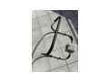 Crane Sports Bauchmuskeltrainer - Bauch- & Rckentraining - Bild 2