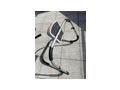 Crane Sports Bauchmuskeltrainer - Bauch- & Rckentraining - Bild 3