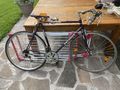 Peugeot Rennrad - Rennrder & Triathlonrder - Bild 1