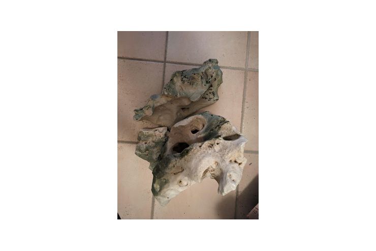 Lochgesteine gro Aquarium - Aquarien Zubehr - Bild 1