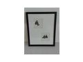 H864 Druck Bild Gemlde - Poster, Drucke & Fotos - Bild 1