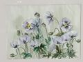 H121 Aquarell Blumenwiese - Gemlde & Zeichnungen - Bild 4
