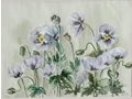 H121 Aquarell Blumenwiese - Gemlde & Zeichnungen - Bild 3