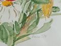 H120 Aquarell Gemlde - Gemlde & Zeichnungen - Bild 4